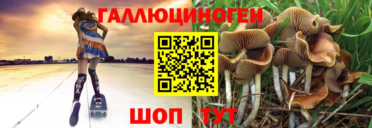 Галлюциногенные грибы Psilocybe Елабуга