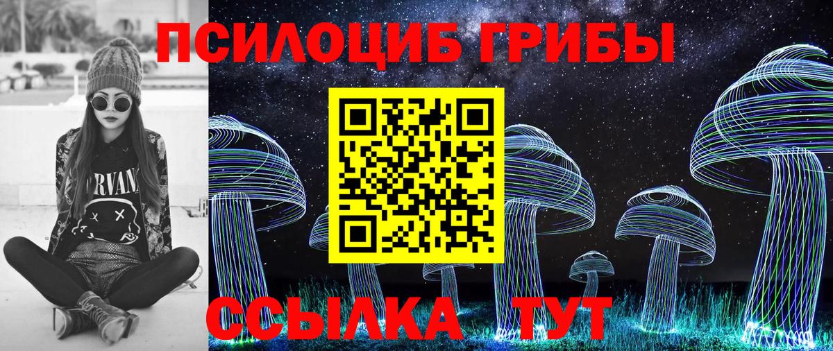 Елабуга  Псилоцибиновые грибы GOLDEN TEACHER  Псилоцибиновые грибы GOLDEN TEACHER  Вход с VPN 